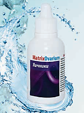 Matrix Ovarium